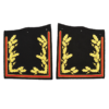Embroidered Sleeve Ornamentation Included