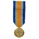 Medal Mini Anodized Inherent Resolve Campaign